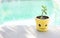 Smiling yellow plant pot with young plant over blurred blue water background