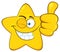 Smiling Yellow Star Cartoon Emoji Face Character With Wink Expression Giving A Thumb Up