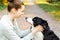 Smiling young attractive woman playing with cute puppy dog border collie on summer outdoor background. Girl holding embracing