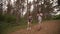 Smiling young couple walking with backpacks at the forest trail