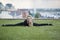 Smiling young girl on the green grass performs twine, on background cityscape