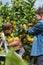 Smiling young man farmer with son harvesting, picking lemons