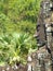 Smilling face in Bayon Temple at Angkor in Cambodia