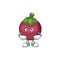 Smirking fruit mangosteen cartoon character for health