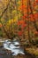 Smith Creek flowing from Anna Ruby Falls, Georgia, USA