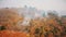 Smog of bushfire fires. Deforestation and Climate crisis. Toxic haze from rainforest fires