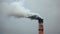 Smoke billows from a factory chimney emitting the toxic fumes of an herbicide production plant