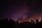 Smoke from a bonfire in a rainforest at sunset. Fires in the forest. Smoke on the background of palm trees at sunset