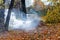 Smoke from burning autumn leaves in the Park. Selective soft focus