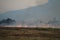 Smoke from burning. Farmers burn rice straw to prepare to plant rice for the next season. Toxic effect resulting from burning of