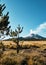 Smoke comes out of snowy Popocatepetl volcano