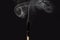 Smoke from an extinct match on a dark background