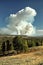 Smoke fills the sky from a forest fire.