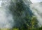 SMOKE FROM FIRE IN THE FOREST WITH A DRYING SUMMER. COUNTRYSIDE