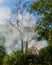 SMOKE FROM FIRE IN THE FOREST WITH A DRYING SUMMER. COUNTRYSIDE.