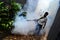 Smoke fogging by to kill dengue, Aedes Aegypti mosquito