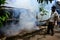 Smoke fogging by to kill dengue, Aedes Aegypti mosquito