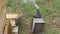 Smoke-gun stands next to a wooden hive, creeping smoke that repels bees, spring beekeeping.