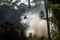 smoke from helicopter's engine fills the jungle as it flies past trees