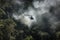 smoke from helicopter's engine twists through dense jungle canopy