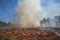 Smoke plume from a controlled fire