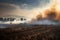 smoke rising from a field of burning crops during drought