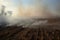 smoke rising from a field of burning crops during drought