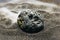 Smoke whirling around small meteorite stone