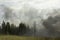 Smoke in woods. Fire in nature. Black smoke in countryside. It`s dangerous situation