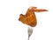Smoked chicken wings on a fork. white background