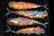 Smoked fish in a smoker grille on black background