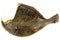 Smoked flounder