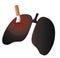 Smoker\'s lung , No Smoking Concept Illustration