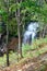 Smokey Hollow Waterfalls
