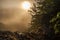 Smokey Sunrise At Thatcher Park