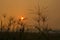 Smokey sunset after the bushfires