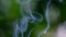 Smoking incense sticks on blurred background