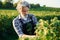 Smoking and looking at berries. Senior stylish man with grey hair and beard on the agricultural field with harvest