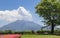 Smoking Vulcan Sakurajima covered by green Landscape. Taken from the wonderful Sengan-en Garden. Located in Kagoshima, Kyushu,