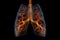 Smoky lungs of a smoker presented in 3D illustration, dark background, medical concept