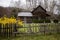 Smoky Mountain Cabin In the Springtime