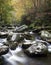 Smoky Mountain Colorful Flowing Stream