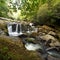 Smoky Mountain Forest and Waterfall