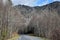 Smoky Mountains Roadside Landscape