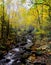 Smoky Mountains Stream in Autumn