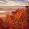 Smoky Mountains in Tennessee with Autumn colored Trees