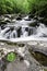 Smoky Mountains Waterfall