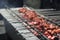 Smoky sheek kabab cooked on coal fire, Famous street food sheek kabab being cooked over a grill