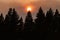 Smoky trees and sun during California Wildfires 2020