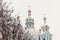 Smolny cathedral winter